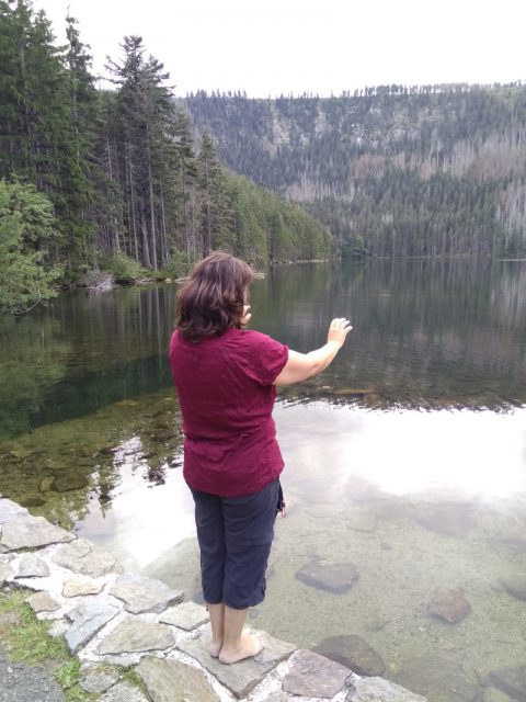Zhineng Qigong Thema sessies