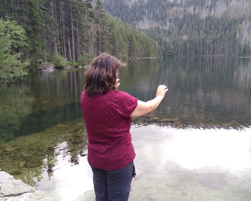Zhineng Qigong Thema sessies